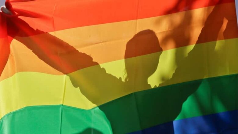 The silhouette of a person is seen behind a large pride flag.