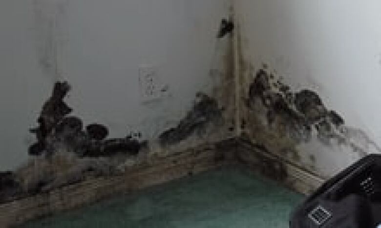 Black mould covers a wall in a First Nations house