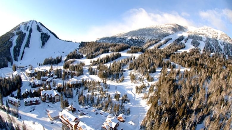 A snow covered mountain and trees