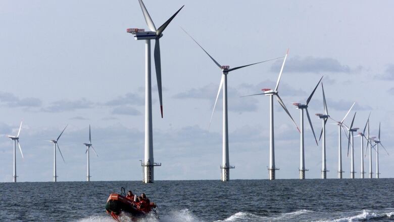 Wind turbines in a body of water.