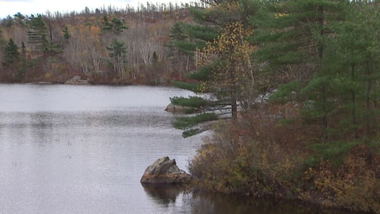 Trees that are changing colour surround a fresh body of water.