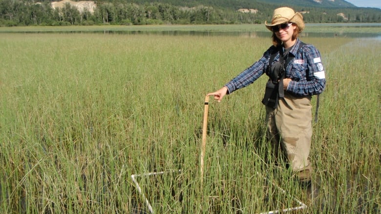 A woman standing in a wetland up to her knees in grasses. 