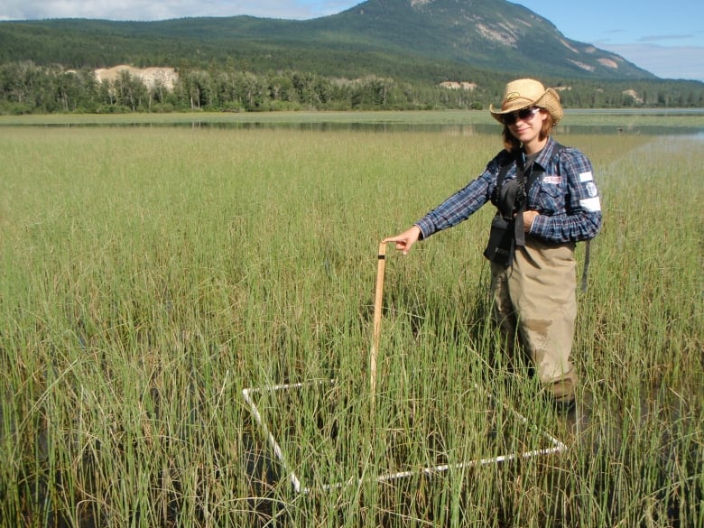 A woman standing in a wetland up to her knees in grasses. 