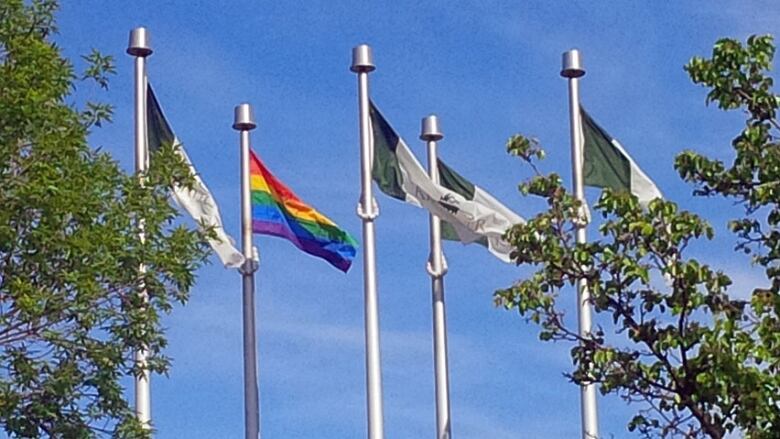 The flagpole is one of two community flagpoles designated by the city in May. 