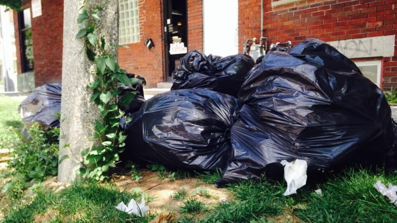 Garbage bags sit at the curbside. 