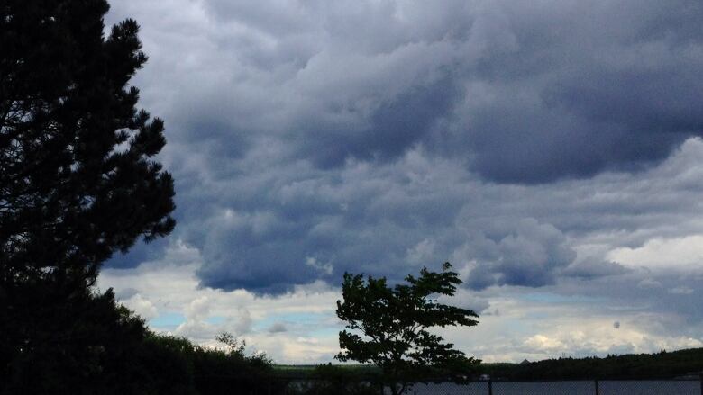 Dark clouds are shown with a darkened tree beneath.