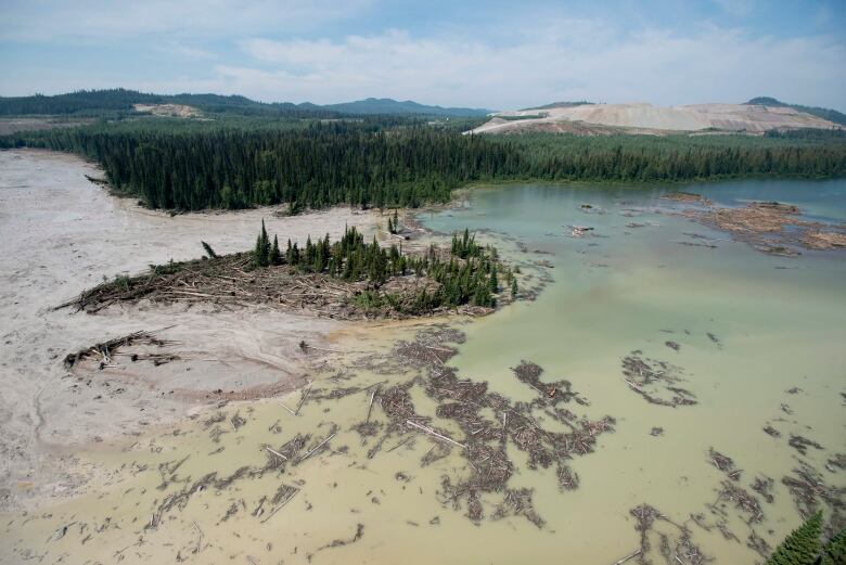 Murky sludge leeches into blue waters