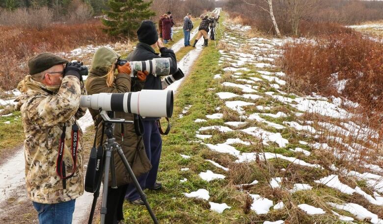 Bird-watchers with cameras.