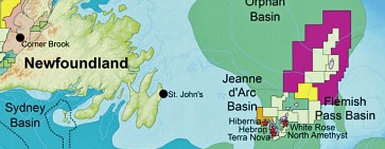 Map of Newfoundland, with the Jeanne d'Arc Basin, the Carson Basin and the Flemish Pass Basin highlighted off it's east coast.