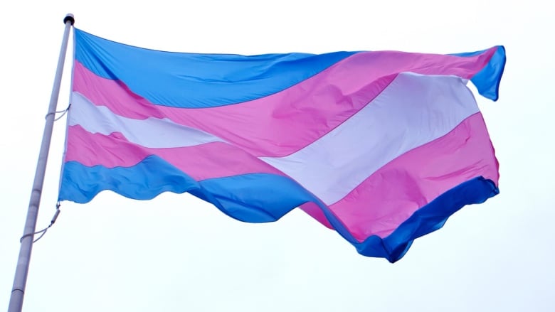 the transgender flag, with blue, pink and white horizontal stripes, flies on a flag pole.