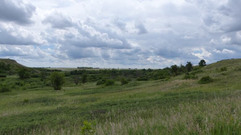 A striking cloudscape looms over green Prairie.