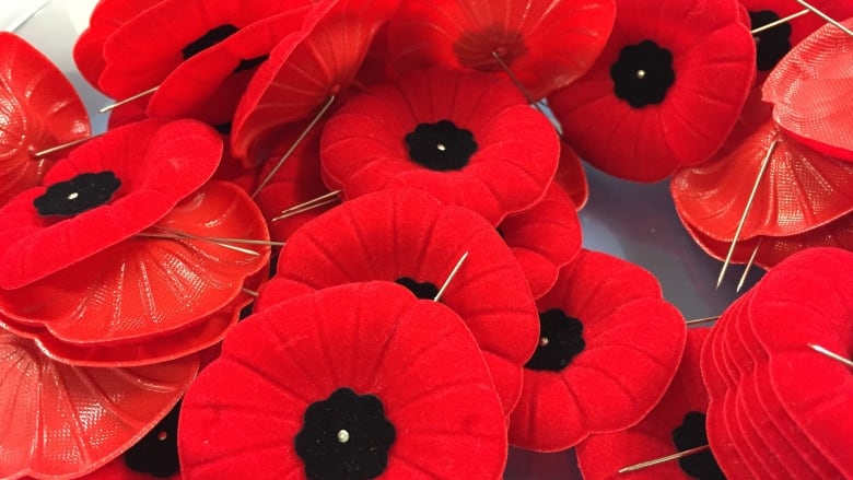 Several red poppy pins are shown.