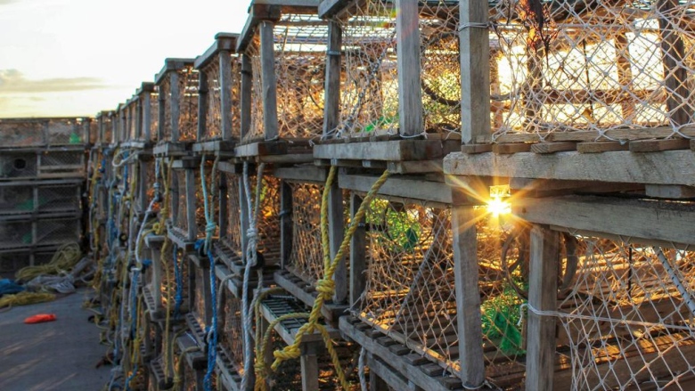 Lobster traps lined up on a jetty with a sunset shining through them.