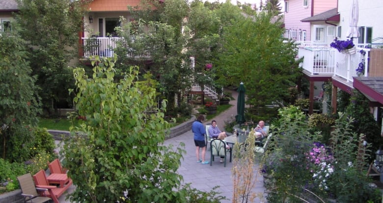 The backyard of a co-housing space with lots of trees and seats for people to hang out