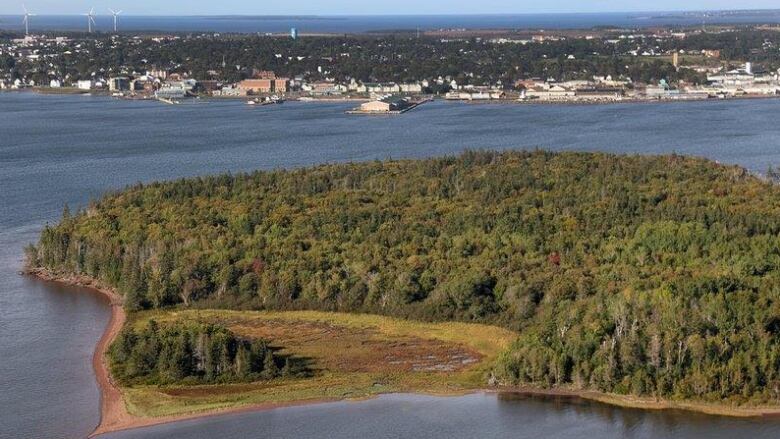 Aerial photo of island showing trees.