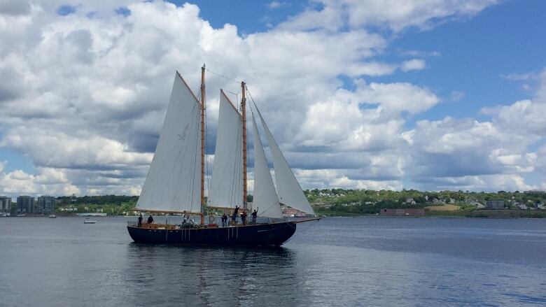 Large boat in water against a picturesque background. 