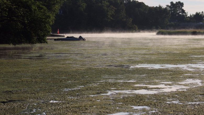 Residents on Sudbury's Simon Lake are tired of the stinking green mass that floats along the lake, and hopes the city will set aside some funds to help purchase an algae skimmer.