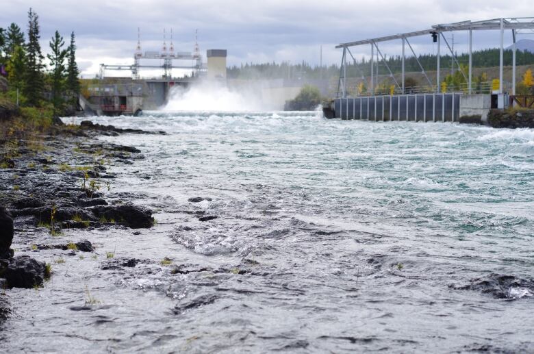 Water rushes through a power dam.