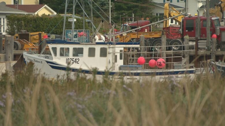 Boats on the harbour