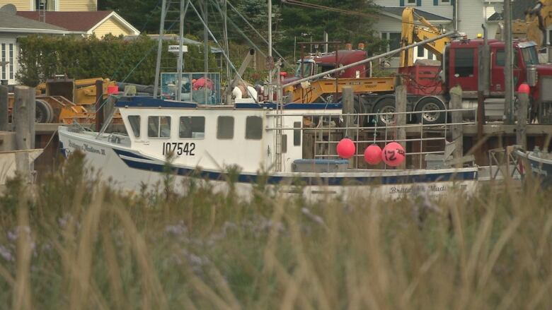 Boats on the harbour