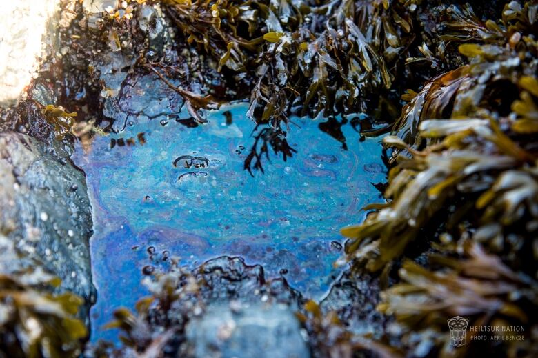 A pool of water shows visible oil sheens after a diesel spill.