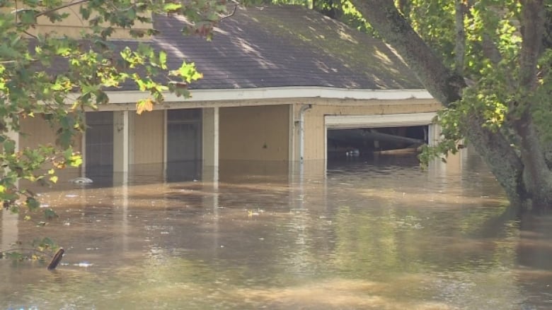 Flood waters rise halfway up the front door and fill the garage of a home in Sydney.