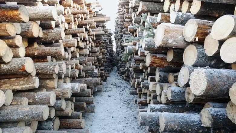 Piles of logs stacked up.