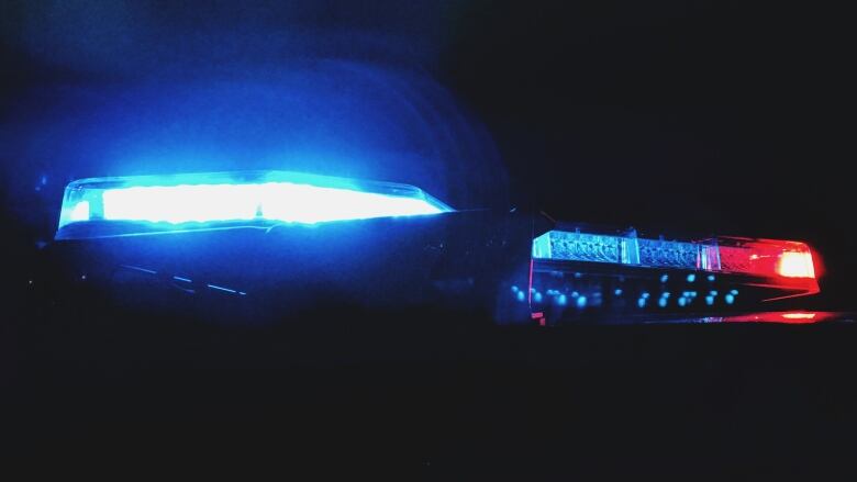 The lights atop a police cruiser are shown flashing in the dark sky.