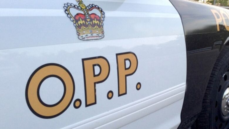 An Ontario Provincial Police logo on a police vehicle.