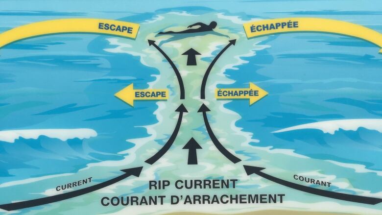 A sign with advice on escaping a rip current.