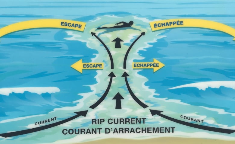 A sign with advice on escaping a rip current.