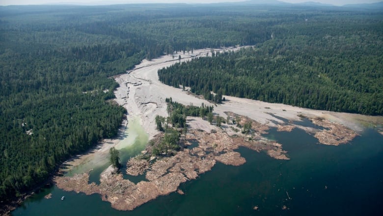 Contents from an Imperial Metals tailings pond are pictured going down the Hazeltine Creek into Quesnel Lake near the town of Likely, B.C. on August, 5, 2014, following the collapse of the Mount Polley mine tailings dam.