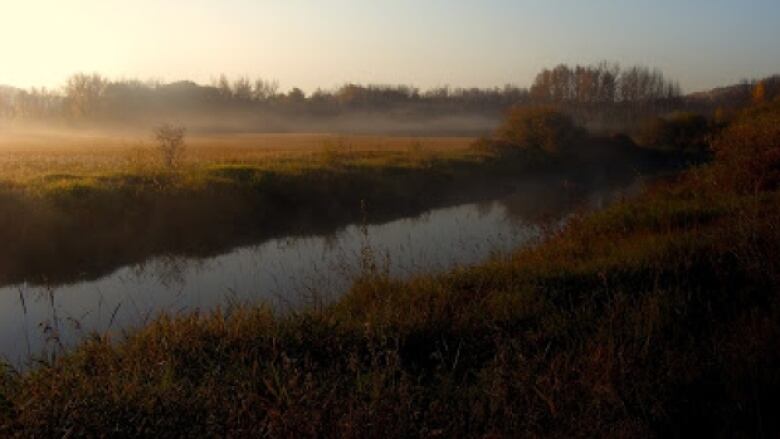 The sun sets on a river with tall grass.