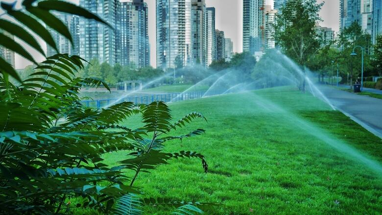 Automated water sprinklers water grass early in the morning near Yaletown, Vancouver. Water restrictions. Summer. Heatwave