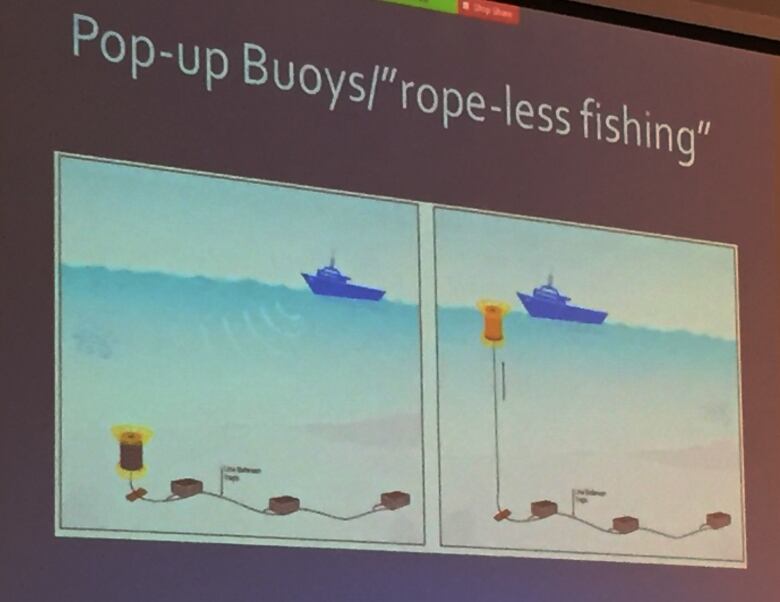 A power point slide shows how proposed ropeless fishing gear works by sinking a spool of line on the ocean floor which is released acoustically.