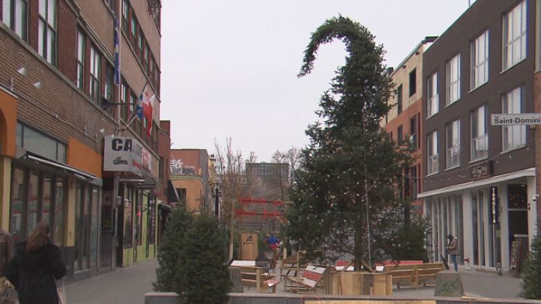 A crooked Christmas tree on a downtown street