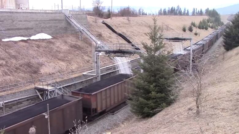 An image of rail cars with coal in them.