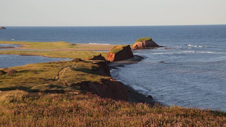 Red cliffs near a body of water. 