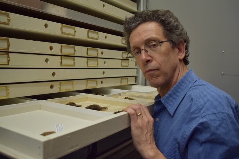 A man in a blue shirt with his hand on the lip of a box with bats inside.