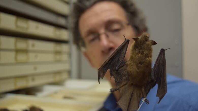 A close up of a man with a bat on his shoulder 