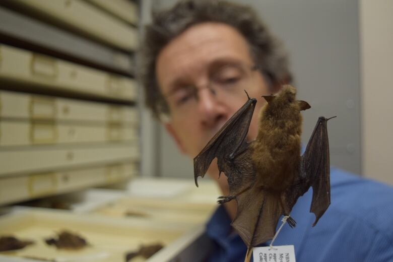 A close up of a man with a bat on his shoulder 