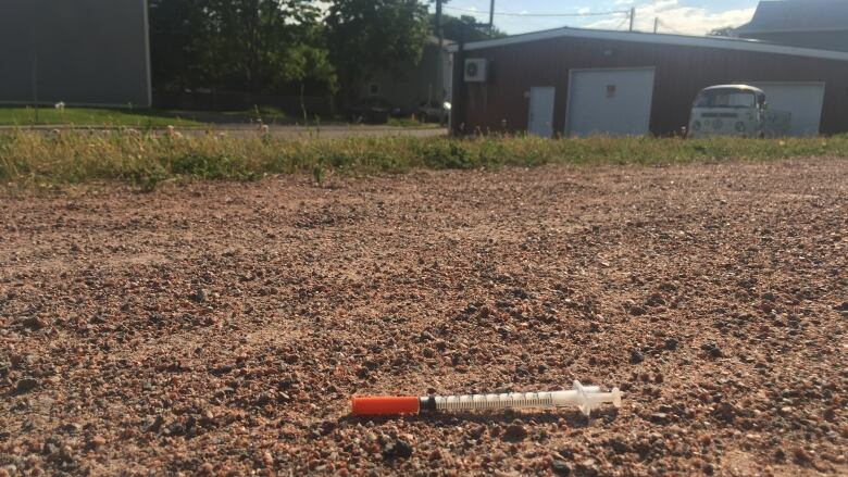 A needle on the Confederation Trail in Charlottetown.