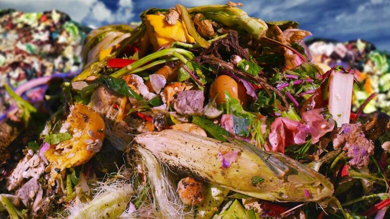 A pile of food waste