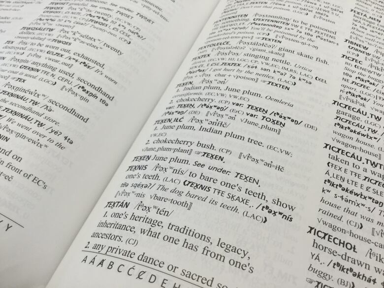 A close-up of a page of the SENOEN dictionary.