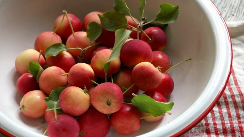 Crab apples