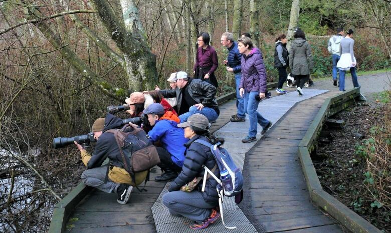 Bird-watchers with cameras.