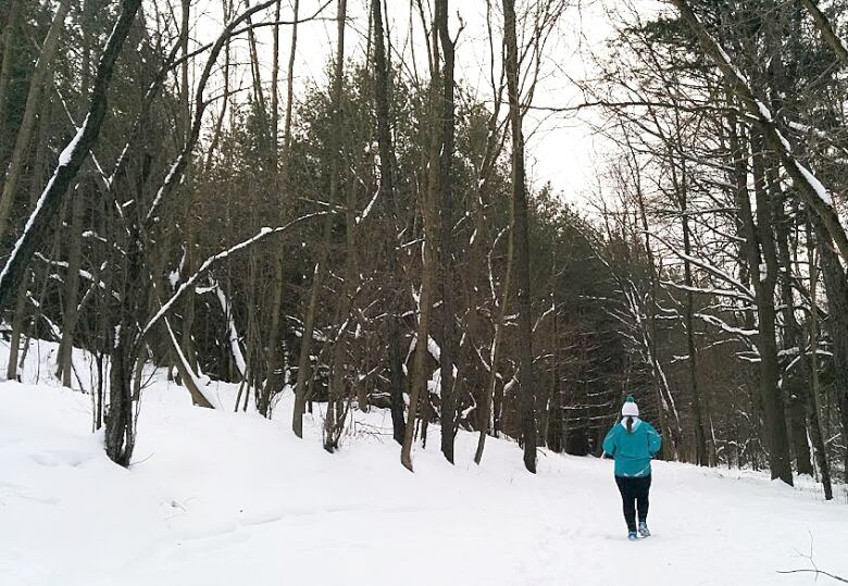 A lone person is seen walking along a snow-covered trail amongst trees.