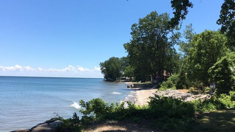 Pelee Island shoreline along Lake Erie.