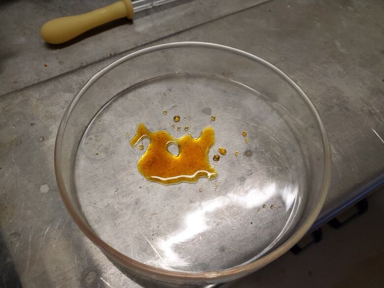 a small puddle of fish oil is in a translucent dish over a metal work table