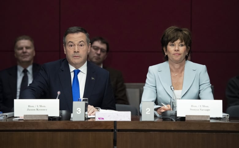 A man and a woman sit at a table to address members of Canada's Senate.